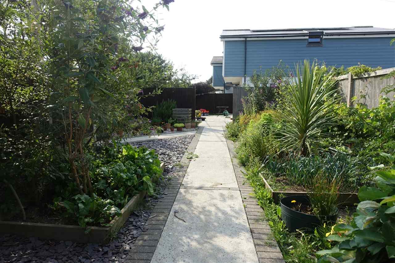 resized-2349823-Vegetable Garden (4).JPG